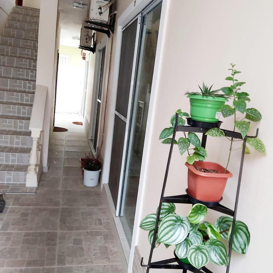 Florianópolis Pousada Morena Flor מראה חיצוני תמונה